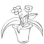 Raskrasil.com-Plants-Coloring-Pages-11