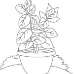 Raskrasil.com-Plants-Coloring-Pages-14