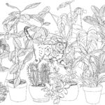Raskrasil.com-Plants-Coloring-Pages-15