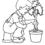 Raskrasil.com-Plants-Coloring-Pages-21