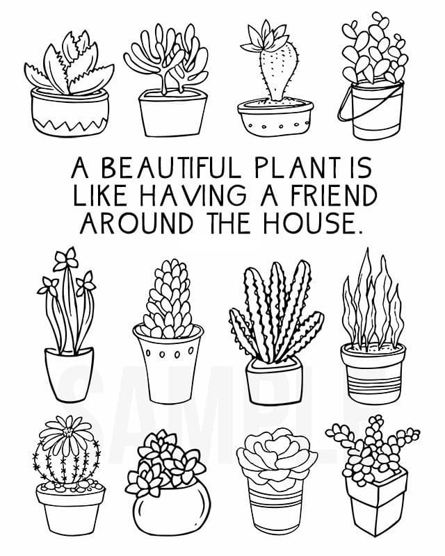 Раскраски Растения | Распечатать бесплатно