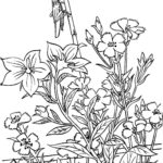 Raskrasil.com-Plants-Coloring-Pages-24