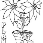 Raskrasil.com-Plants-Coloring-Pages-3