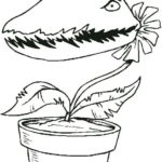 Raskrasil.com-Plants-Coloring-Pages-30