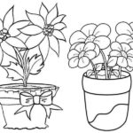 Raskrasil.com-Plants-Coloring-Pages-37