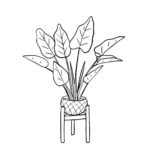 Raskrasil.com-Plants-Coloring-Pages-39