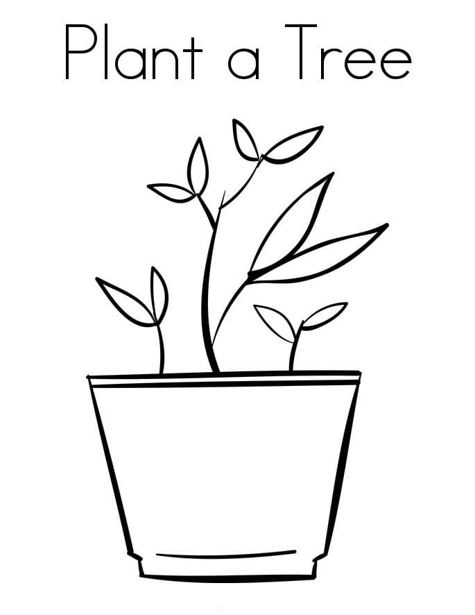 Раскраски Растения | Распечатать бесплатно