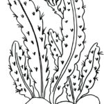 Raskrasil.com-Plants-Coloring-Pages-46