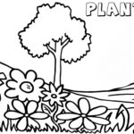 Raskrasil.com-Plants-Coloring-Pages-47