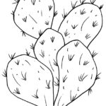 Raskrasil.com-Plants-Coloring-Pages-50