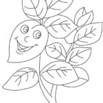 Raskrasil.com-Plants-Coloring-Pages-52