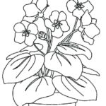 Raskrasil.com-Plants-Coloring-Pages-56