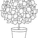 Raskrasil.com-Plants-Coloring-Pages-59