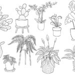 Raskrasil.com-Plants-Coloring-Pages-6