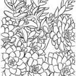Previous Attachment