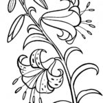 Raskrasil.com-Plants-Coloring-Pages-63