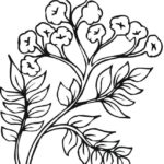 Raskrasil.com-Plants-Coloring-Pages-64