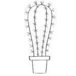 Raskrasil.com-Plants-Coloring-Pages-68