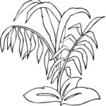Raskrasil.com-Plants-Coloring-Pages-7