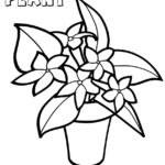 Raskrasil.com-Plants-Coloring-Pages-71