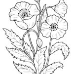 Raskrasil.com-Plants-Coloring-Pages-78