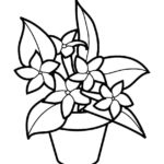 Raskrasil.com-Plants-Coloring-Pages-82