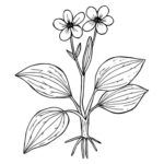 Raskrasil.com-Plants-Coloring-Pages-84