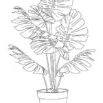 Raskrasil.com-Plants-Coloring-Pages-90