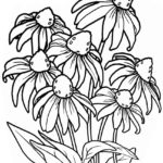 Raskrasil.com-Plants-Coloring-Pages-94