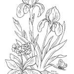 Previous Attachment