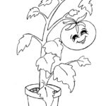 Raskrasil.com-Plants-Coloring-Pages-98
