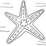 Raskrasil.com-Starfish-Coloring-Pages-1
