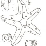 Raskrasil.com-Starfish-Coloring-Pages-10