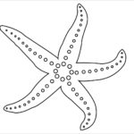 Raskrasil.com-Starfish-Coloring-Pages-18