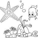 Raskrasil.com-Starfish-Coloring-Pages-20