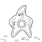 Raskrasil.com-Starfish-Coloring-Pages-22