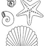 Raskrasil.com-Starfish-Coloring-Pages-26