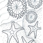Raskrasil.com-Starfish-Coloring-Pages-30