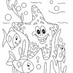 Raskrasil.com-Starfish-Coloring-Pages-42
