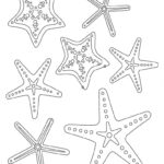 Raskrasil.com-Starfish-Coloring-Pages-51