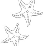 Raskrasil.com-Starfish-New-Coloring-Pages-3