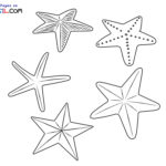 Raskrasil.com-Starfish-New-Coloring-Pages-7