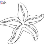 Raskrasil.com-Starfish-New-Coloring-Pages-9