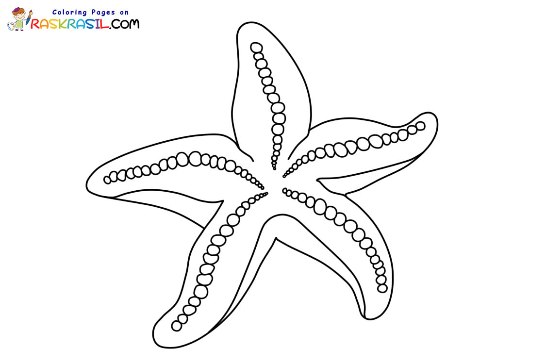 Raskrasil.com-Starfish-New-Coloring-Pages-9