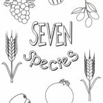 Raskrasil.com-Tu-Bishvat-Coloring-Pages-13