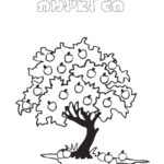 Raskrasil.com-Tu-Bishvat-Coloring-Pages-15