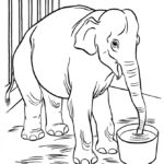 Raskrasil.com-Zoo-Coloring-Pages-23