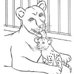 Raskrasil.com-Zoo-Coloring-Pages-29