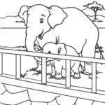 Raskrasil.com-Zoo-Coloring-Pages-30