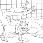 Raskrasil.com-Zoo-Coloring-Pages-33
